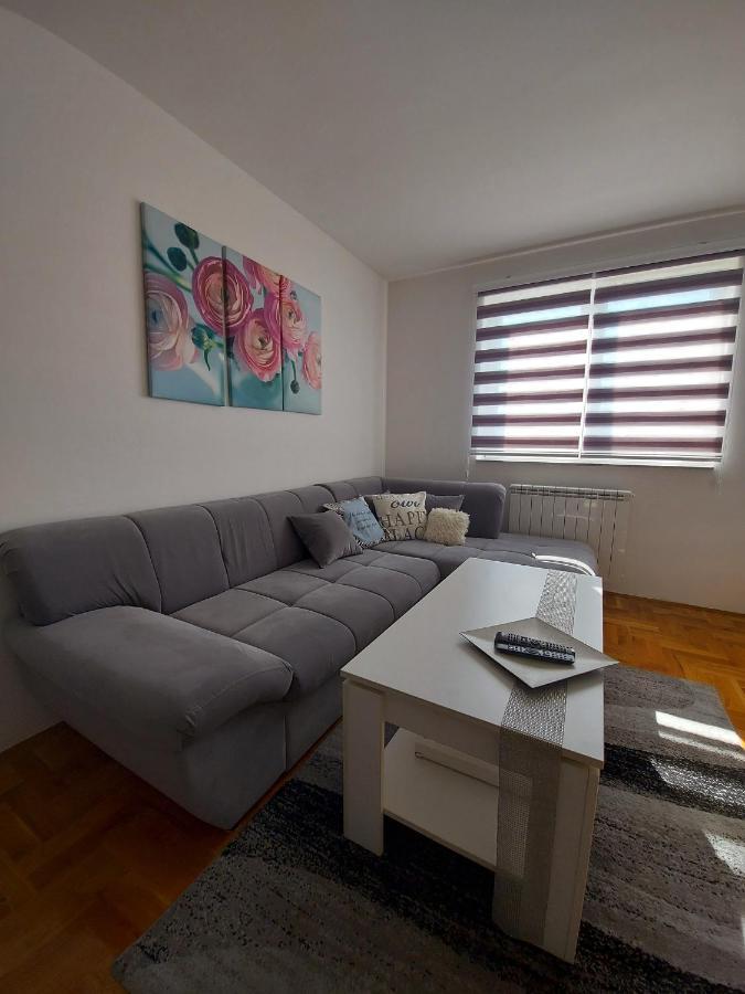 Apartman Victoria Lukavica Kültér fotó